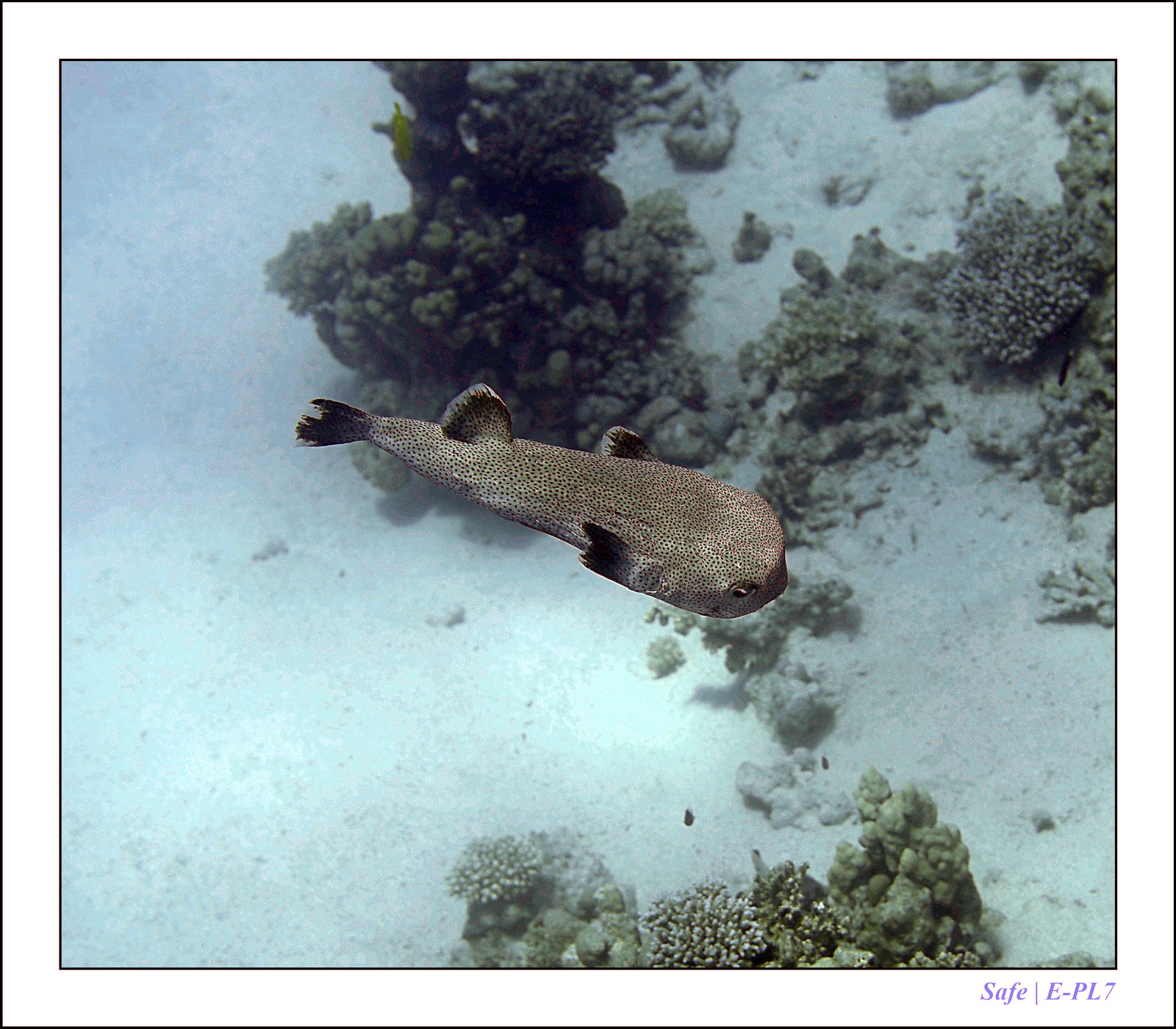 Hurghada - Juillet 2021 - 076